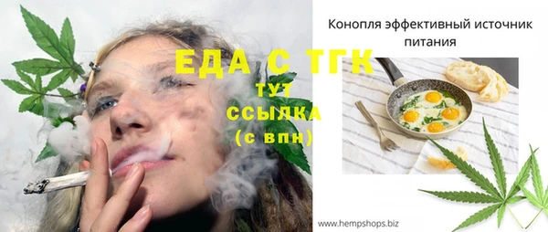 spice Богородск