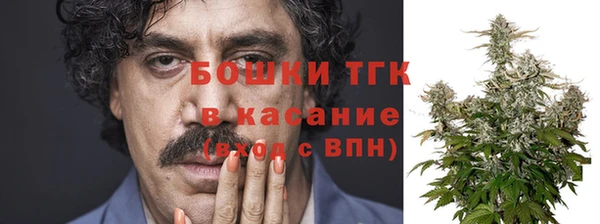 СК Богородицк