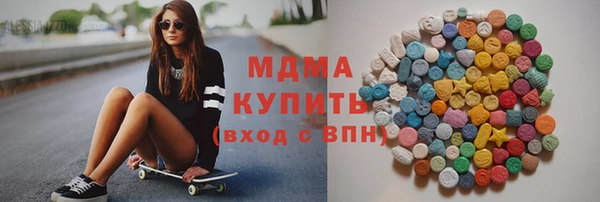 spice Богородск