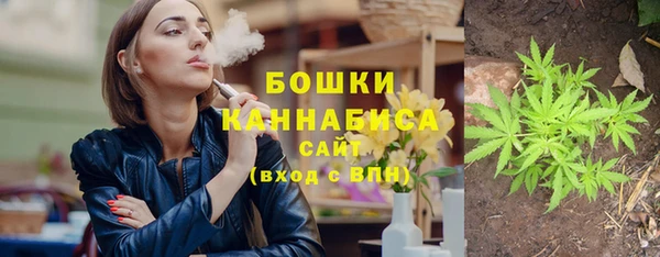 СК Богородицк