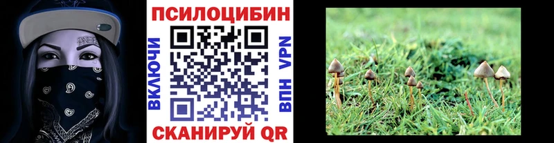 Псилоцибиновые грибы ЛСД Онега
